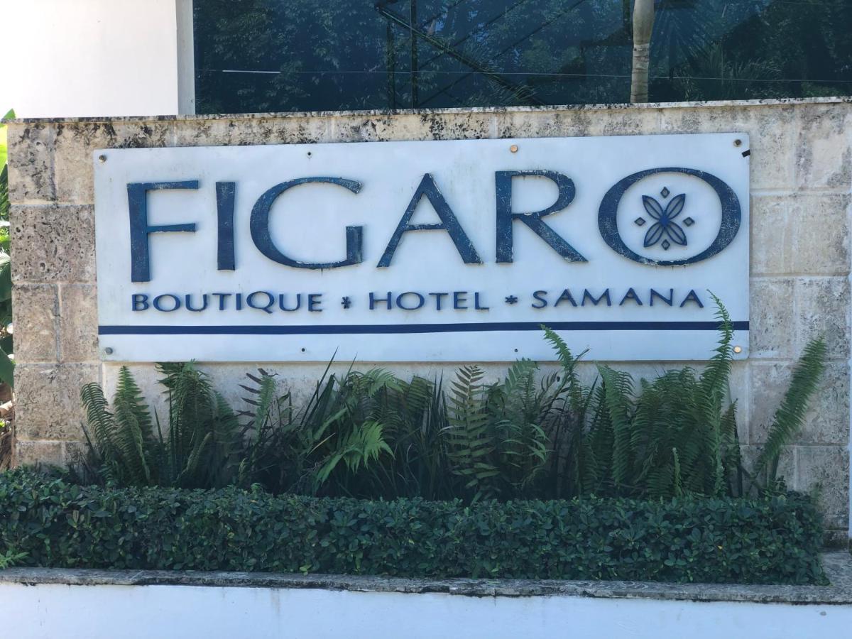 Figaro Hotel Samana Extérieur photo